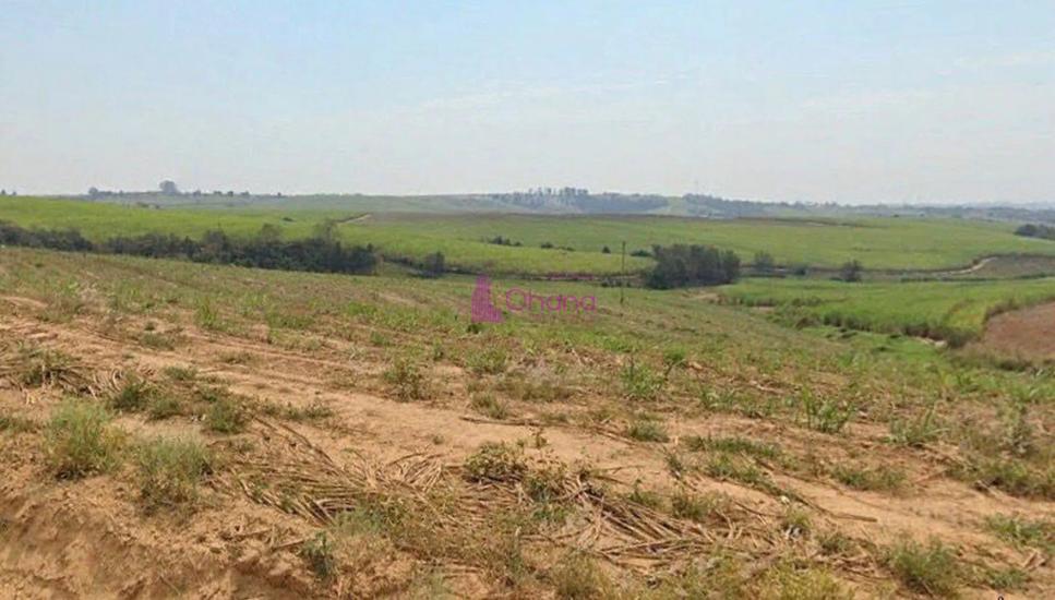 fazenda-venda-porto-feliz-sp-1065596