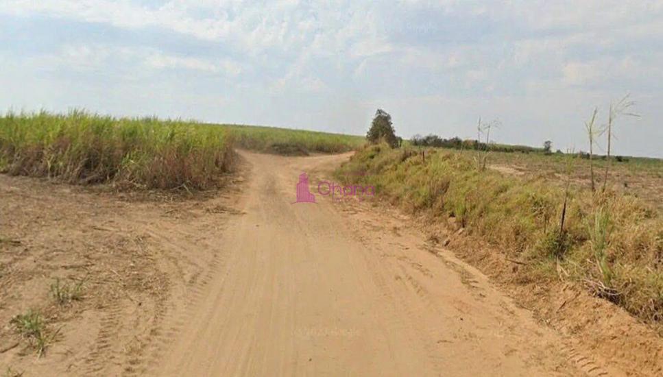 fazenda-venda-porto-feliz-sp-1065605