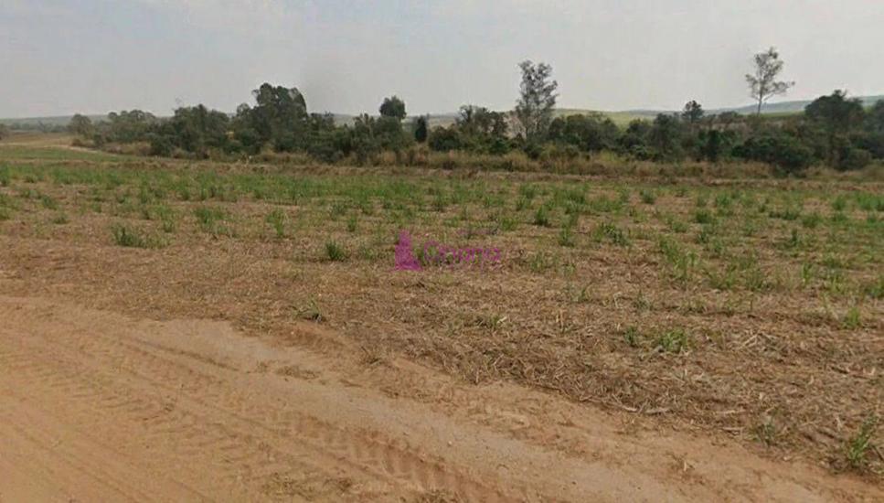 fazenda-venda-porto-feliz-sp-1065606