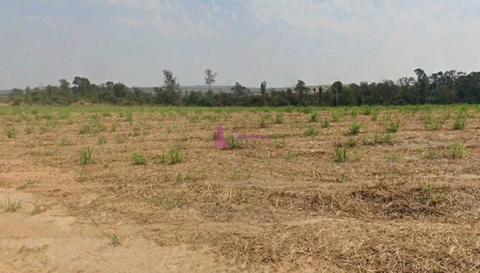 fazenda-venda-porto-feliz-sp-1065607