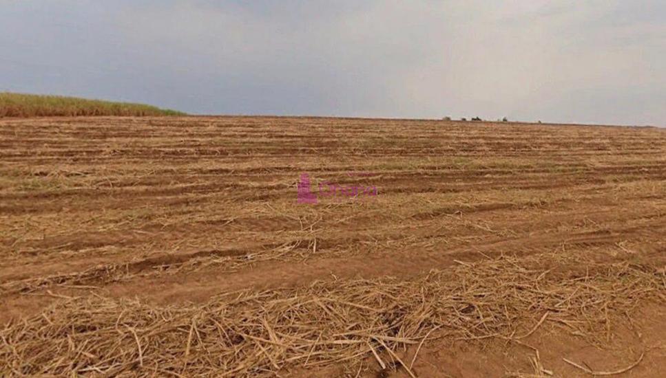 fazenda-venda-porto-feliz-sp-1065608