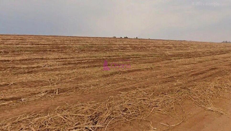 fazenda-venda-porto-feliz-sp-1065609