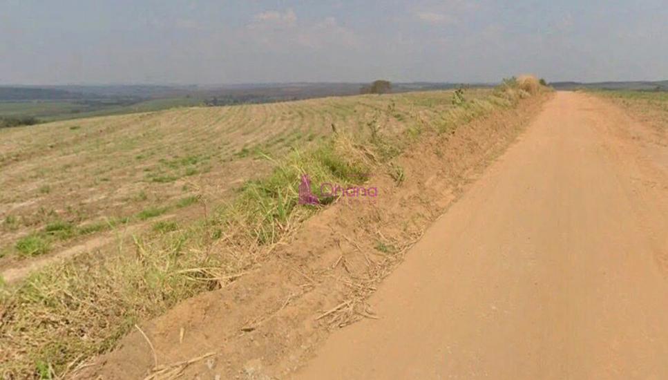 fazenda-venda-porto-feliz-sp-1065597