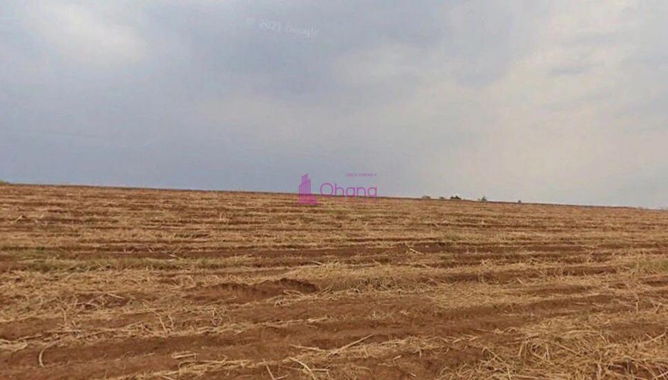 fazenda-venda-porto-feliz-sp-1065599