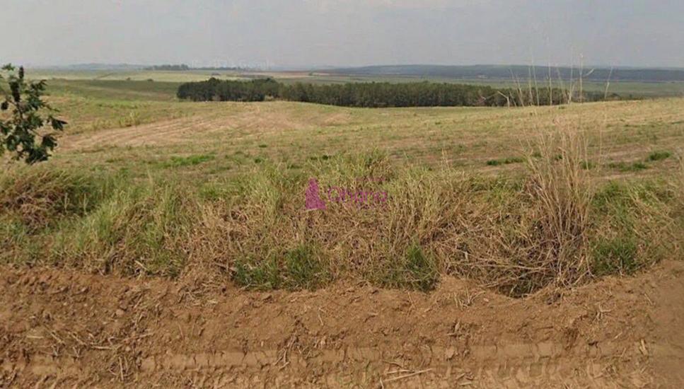 fazenda-venda-porto-feliz-sp-1065600