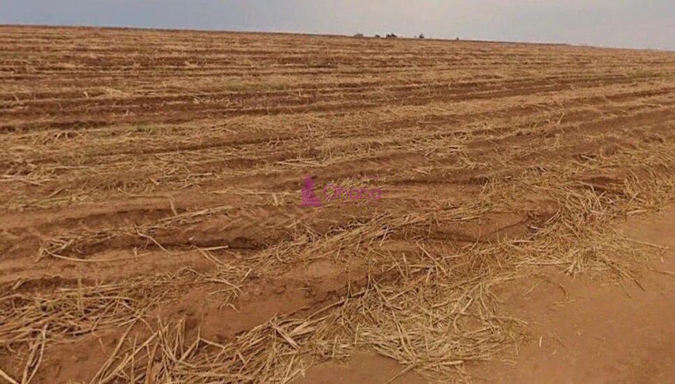 fazenda-venda-porto-feliz-sp-1065601