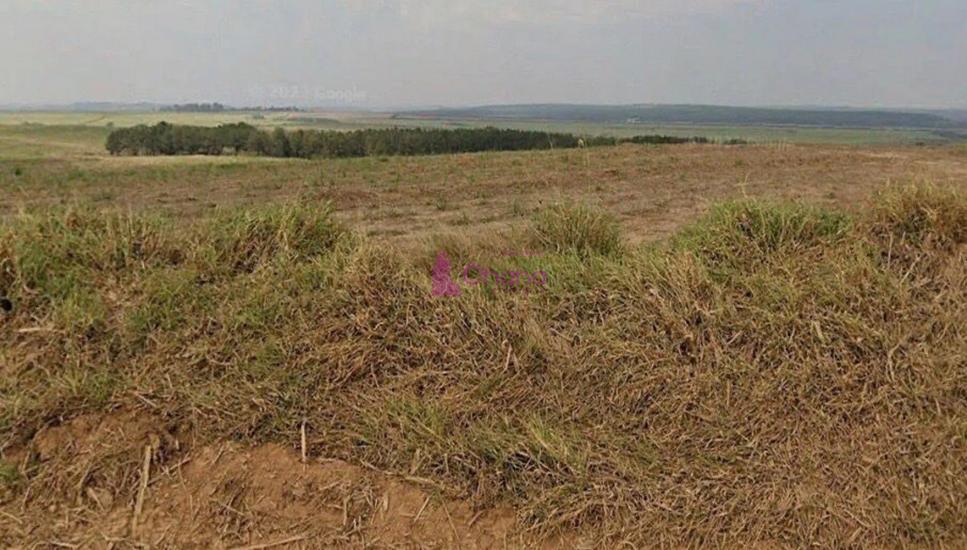 fazenda-venda-porto-feliz-sp-1065602