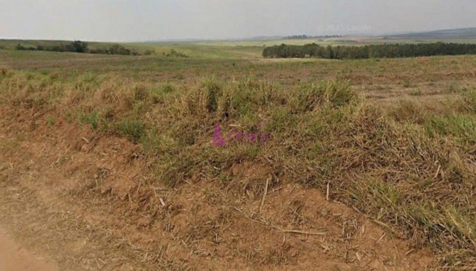 fazenda-venda-porto-feliz-sp-1065603