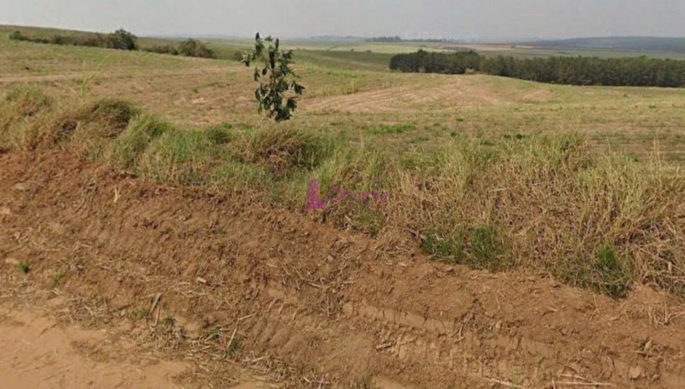 fazenda-venda-porto-feliz-sp-1065604