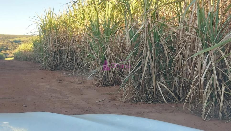 fazenda-venda-charqueada-sp-1065622