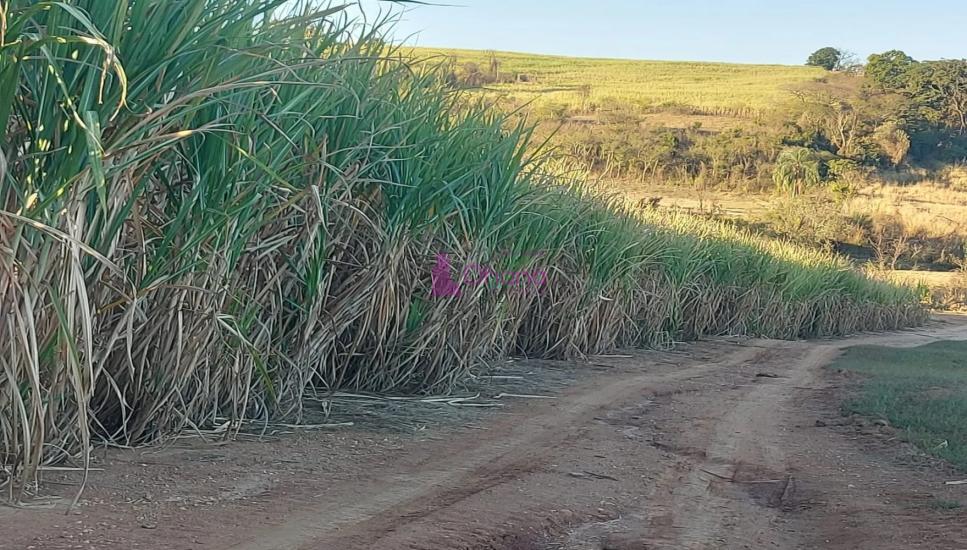 fazenda-venda-charqueada-sp-1065624