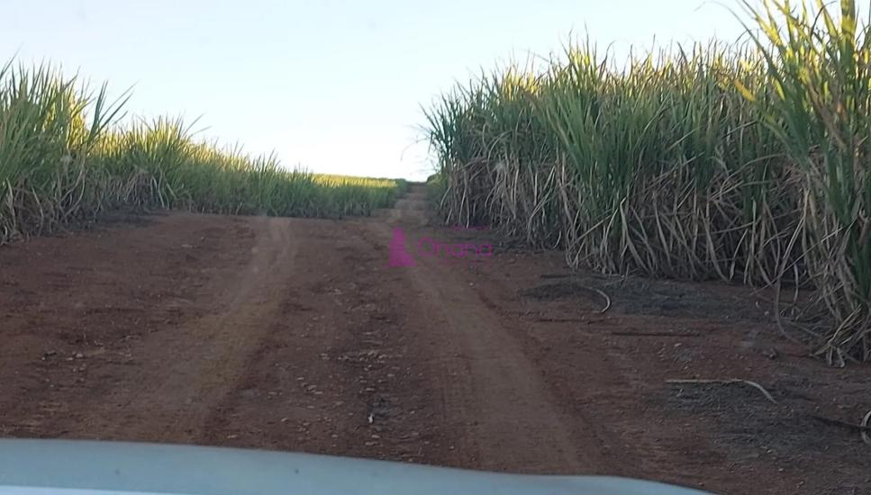 fazenda-venda-charqueada-sp-1065614