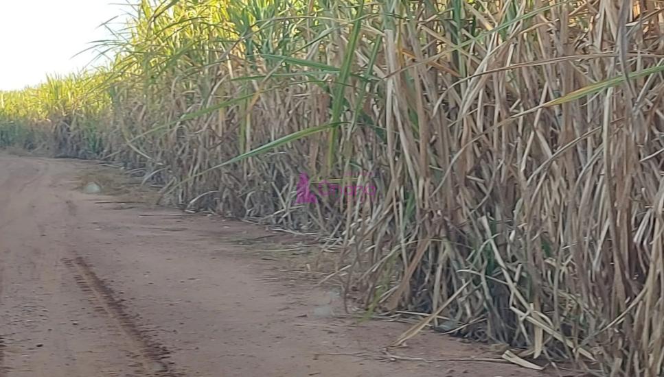 fazenda-venda-charqueada-sp-1065619