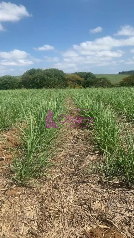 fazenda-venda-tatui-sp-1065770