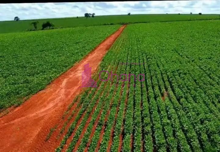 fazenda-venda-tatui-sp-1065772