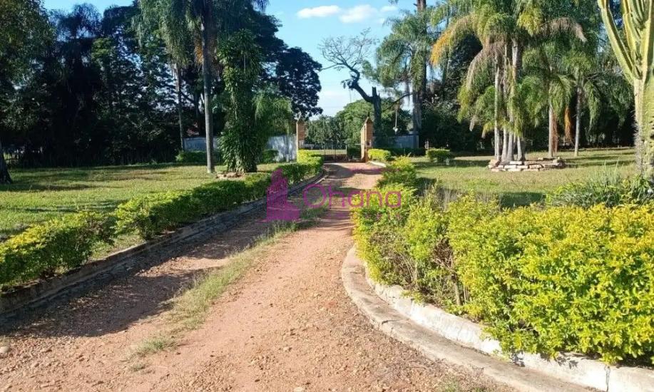 fazenda-venda-porto-feliz-sp-1065822