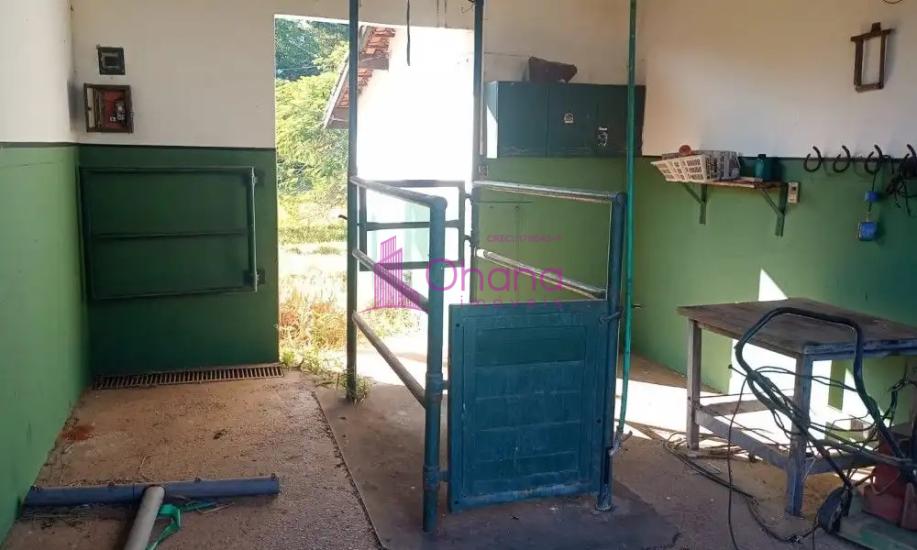 fazenda-venda-porto-feliz-sp-1065824