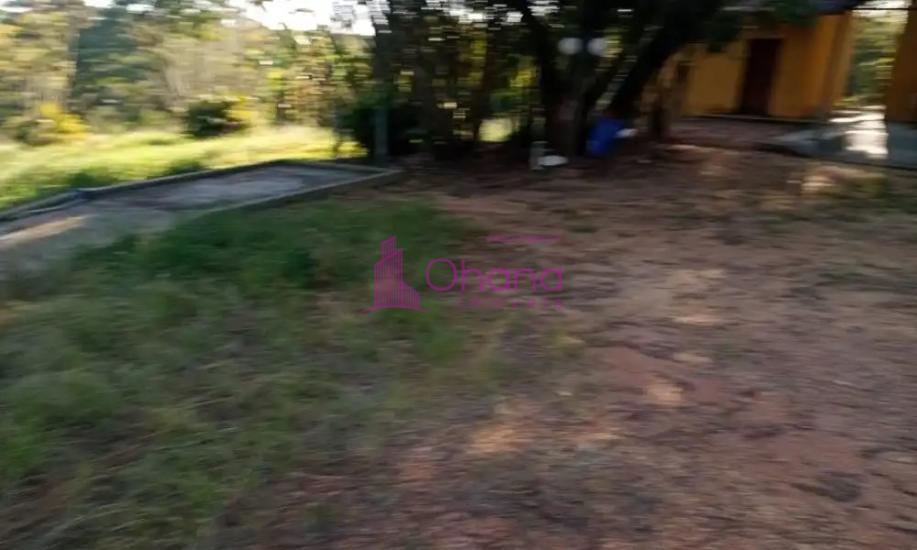fazenda-venda-porto-feliz-sp-1065831