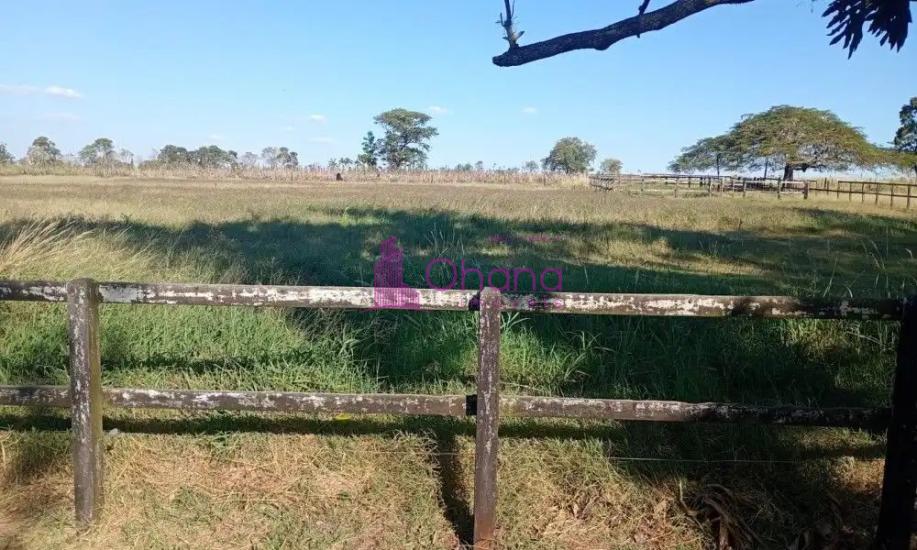 fazenda-venda-porto-feliz-sp-1065814