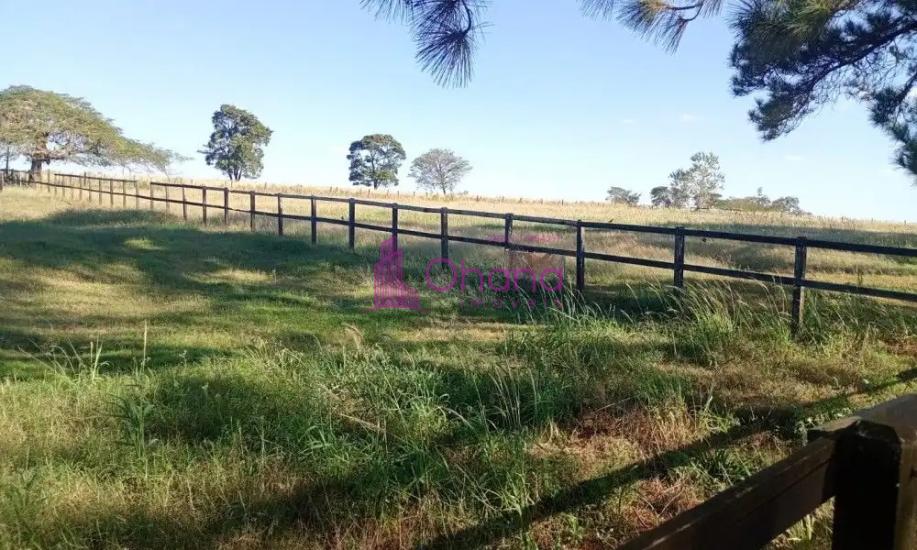 fazenda-venda-porto-feliz-sp-1065815