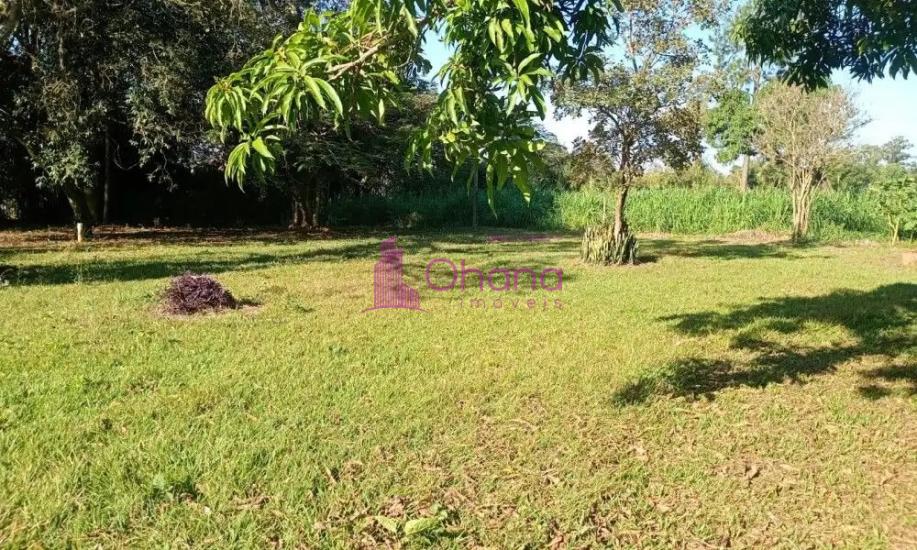 fazenda-venda-porto-feliz-sp-1065816