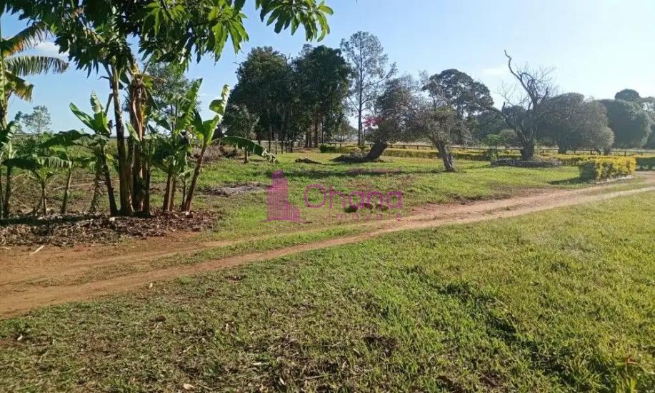 fazenda-venda-porto-feliz-sp-1065817