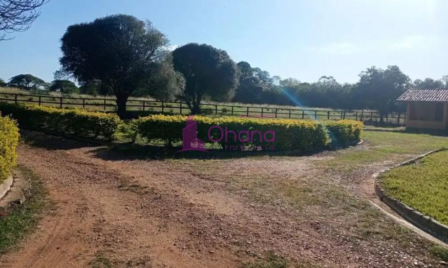 fazenda-venda-porto-feliz-sp-1065818