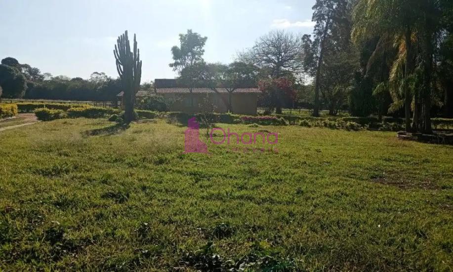 fazenda-venda-porto-feliz-sp-1065819