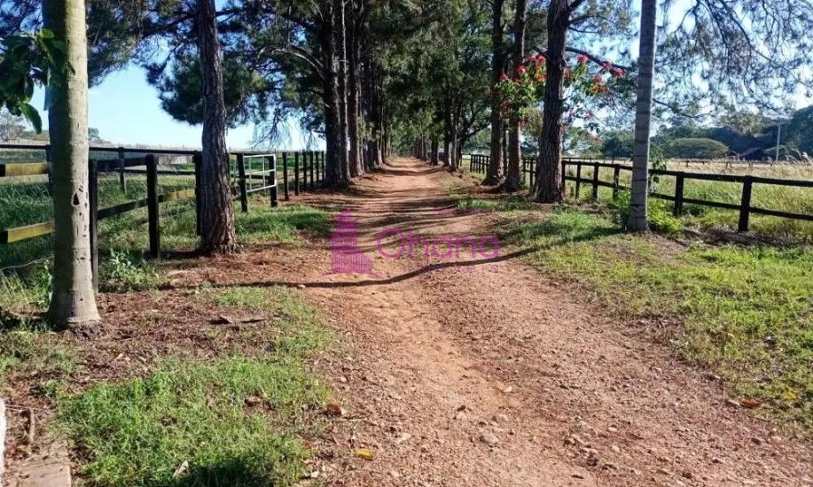fazenda-venda-porto-feliz-sp-1065821