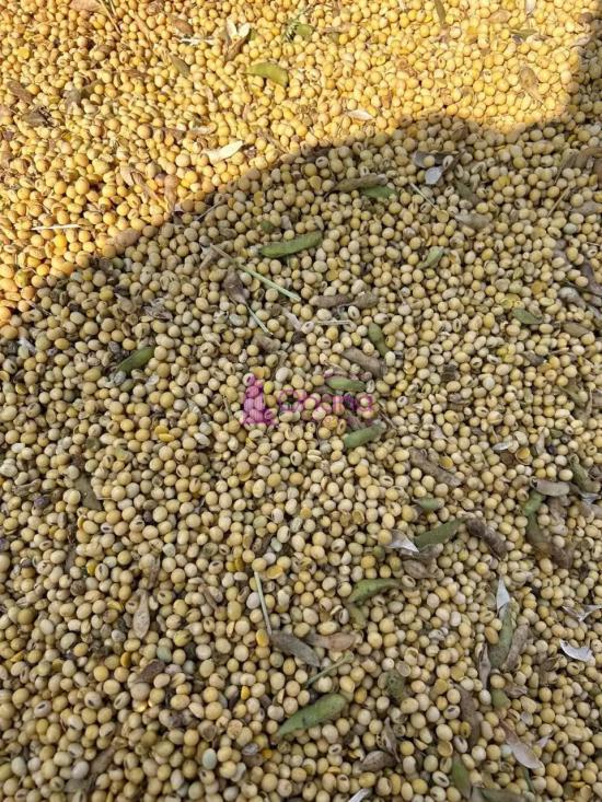 area-venda-tatui-sp-1065833