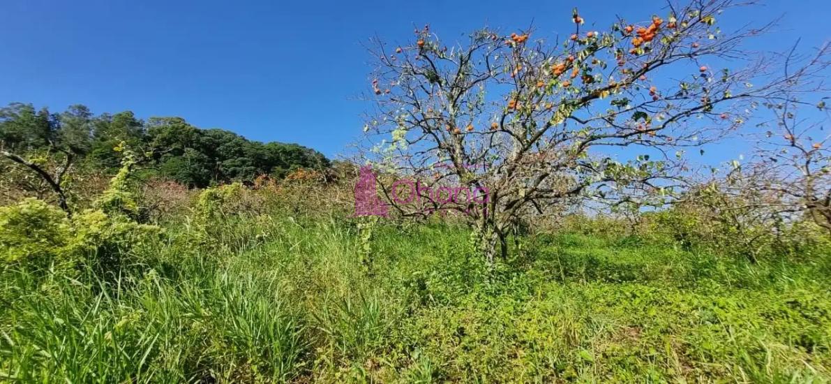 terreno-venda-louveira-sp-1062872